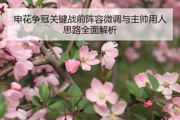 申花争冠关键战前阵容微调与主帅用人思路全面解析